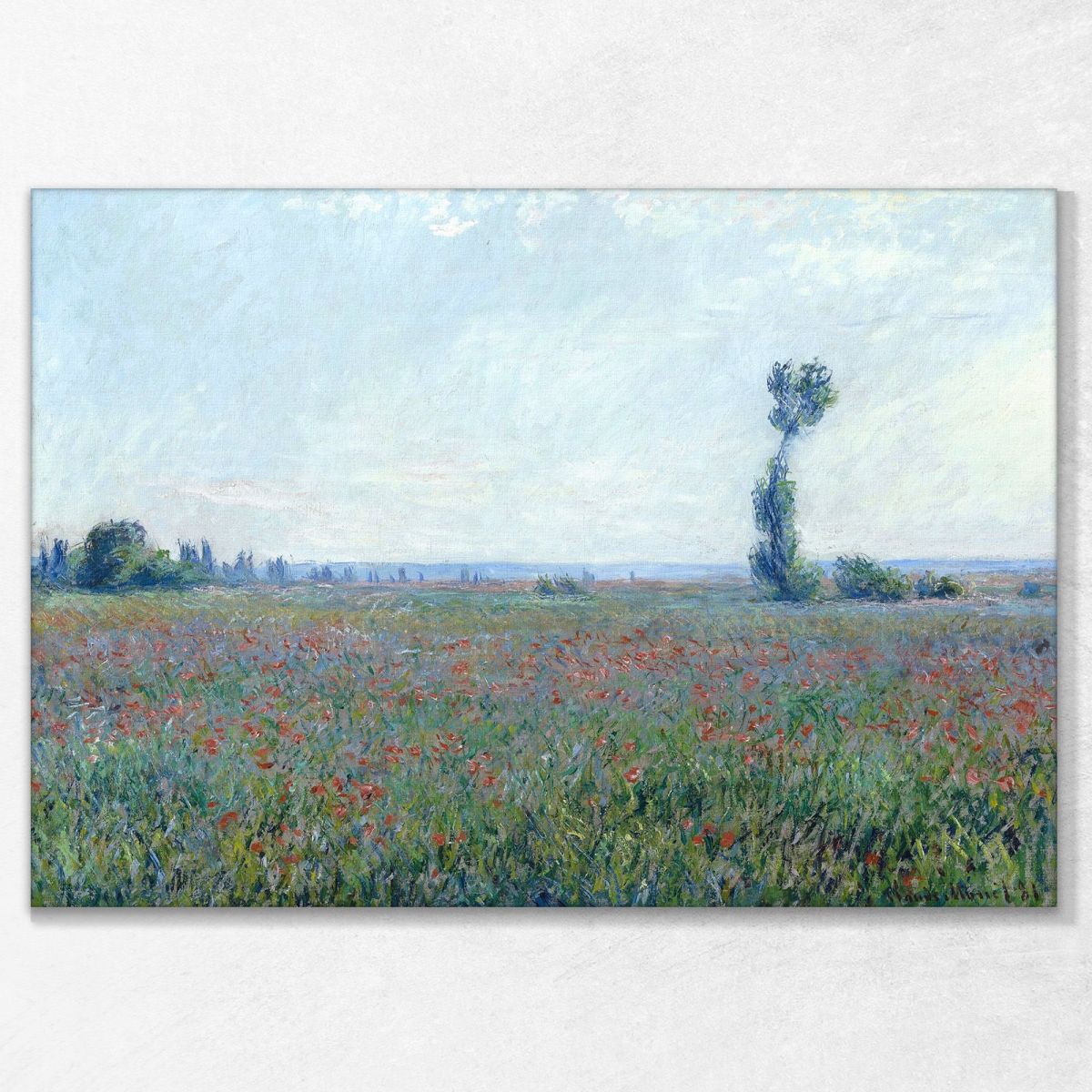 Poppy Field, 1881 Monet Claude canvas print mnt46