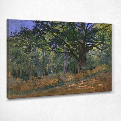 The Bodmer Oak, Fontainebleau, 1865 Monet Claude canvas print mnt68
