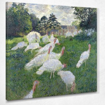 The Turkeys, 1876 Monet Claude canvas print mnt99