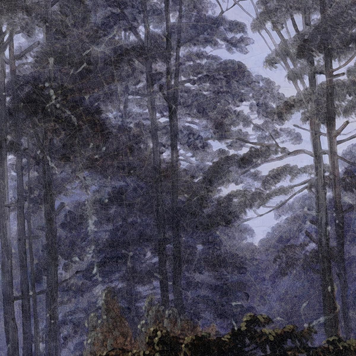 Forest Interior By Moonlight Caspar David Friedrich cdf6 canvas print