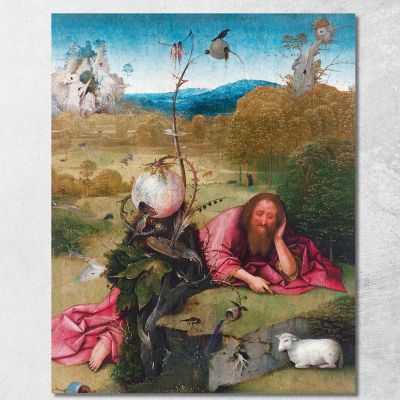 St John Wilderness Bosch Hieronymus hbs16 canvas print 