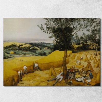 The_Harvesters Pieter Bruegel pbr20 canvas print 