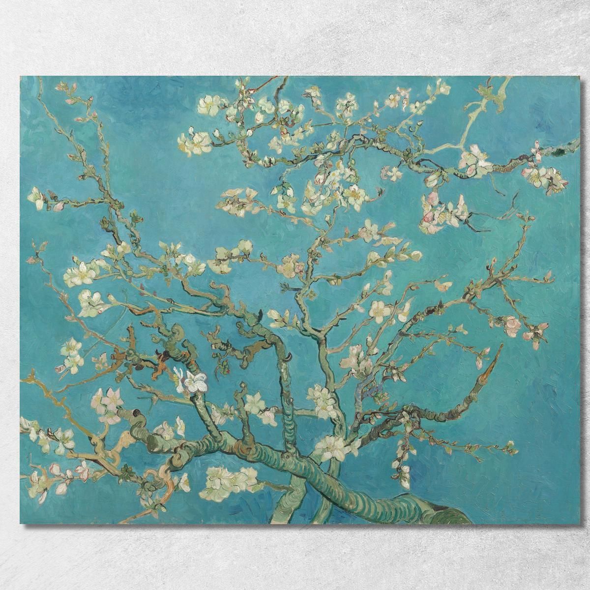 Almond Blossoms Vincent van Gogh, vvg16 canvas print