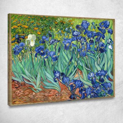 Iride 1889 Vincent van Gogh vvg18 quadro stampa su tela