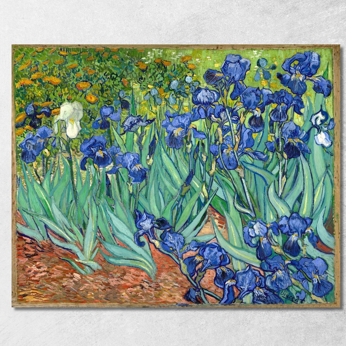 Iride 1889 Vincent van Gogh vvg18 quadro stampa su tela