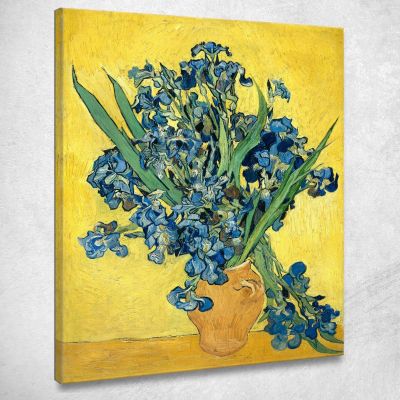 Iris Vincent van Gogh, vvg27 canvas print