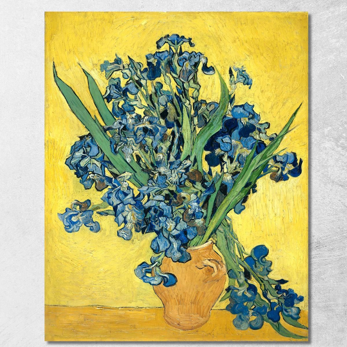 Iris Vincent van Gogh, vvg27 canvas print