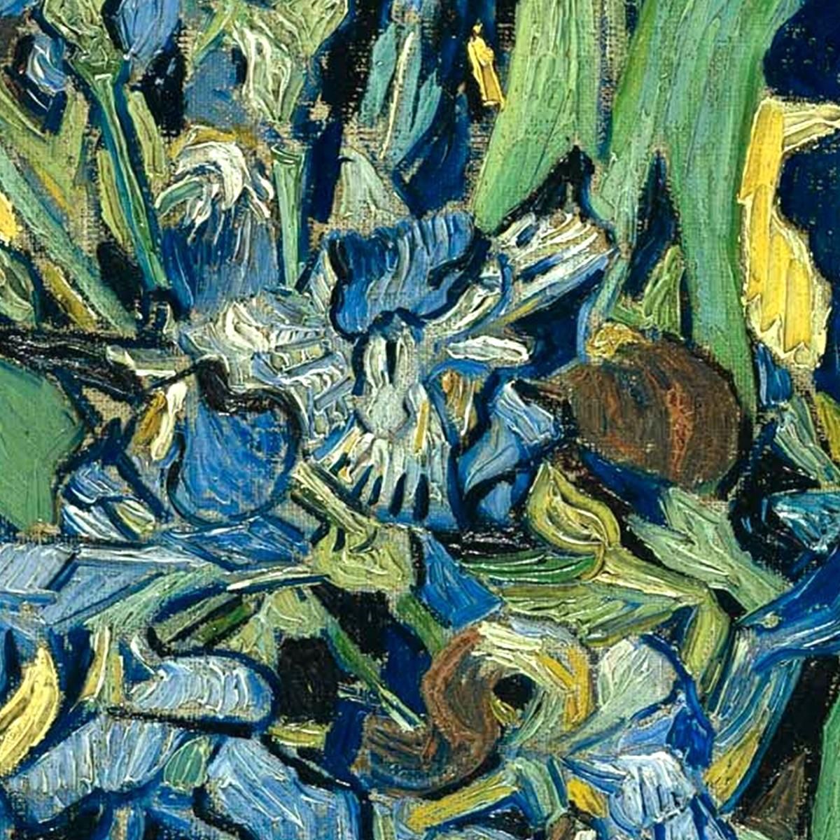 Iris Vincent van Gogh, vvg27 canvas print