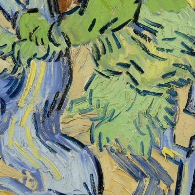 Radici Degli Alberi Vincent van Gogh vvg33 quadro stampa su tela