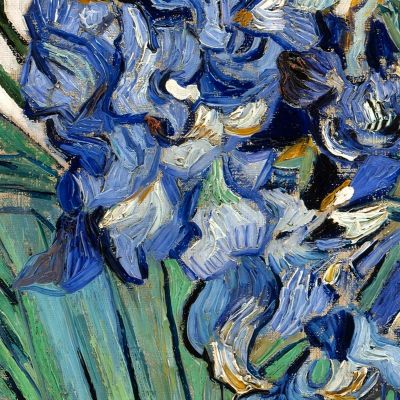 Iris 1890 Vincent van Gogh, vvg50 canvas print