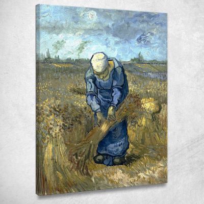 Contadina Lega Covoni Dopo Millet Vincent van Gogh vvg53 quadro stampa su tela