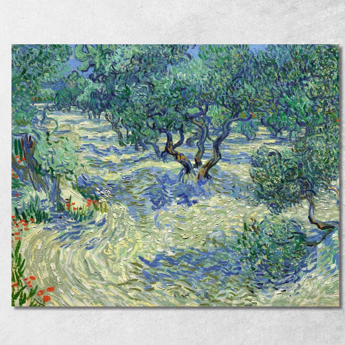 Frutteto Di Ulivi Vincent van Gogh vvg67 quadro stampa su tela