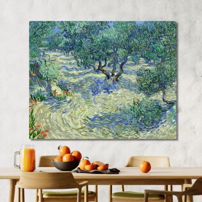 Frutteto Di Ulivi Vincent van Gogh vvg67 quadro stampa su tela