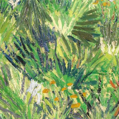 Tall Grass With Butterflies Vincent van Gogh, vvg70 canvas print