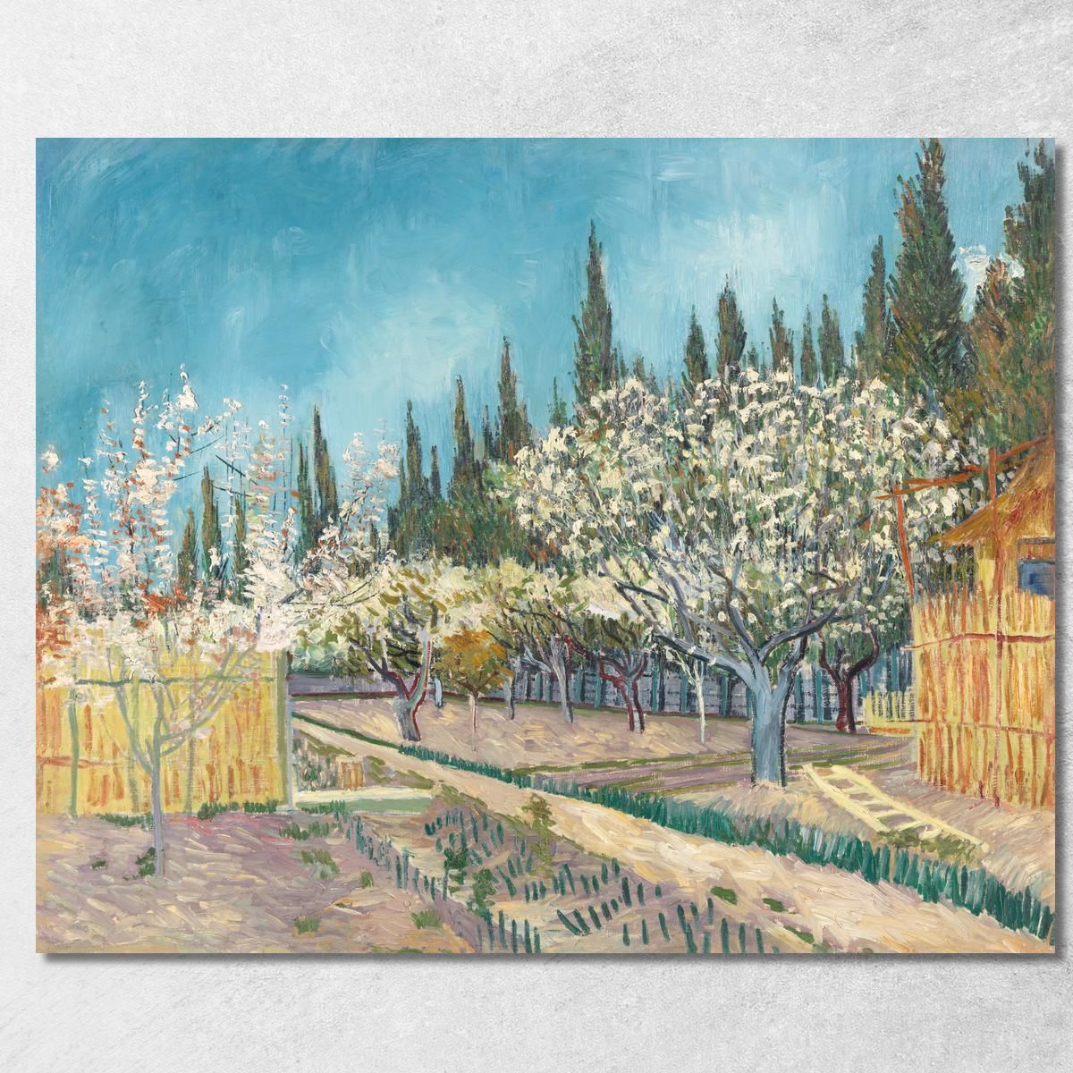 Orchard In Bloom Bordered By Cypresses Vincent van Gogh, vvg76 canvas print