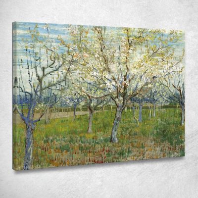 Il Frutteto Rosa Vincent van Gogh vvg77 quadro stampa su tela