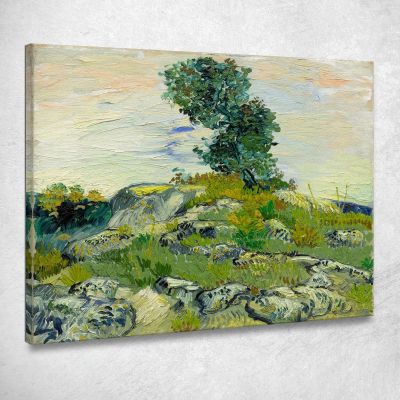 Le Rocce Vincent van Gogh vvg99 quadro stampa su tela