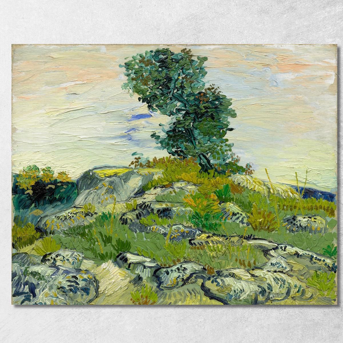 Le Rocce Vincent van Gogh vvg99 quadro stampa su tela