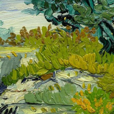 Le Rocce Vincent van Gogh vvg99 quadro stampa su tela