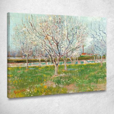 Frutteto In Fiore Albicocchi Vincent van Gogh vvg138 quadro stampa su tela