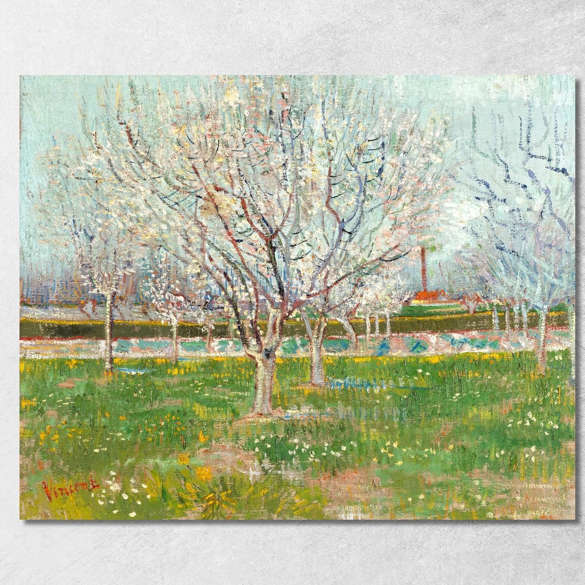 Frutteto In Fiore Albicocchi Vincent van Gogh vvg138 quadro stampa su tela