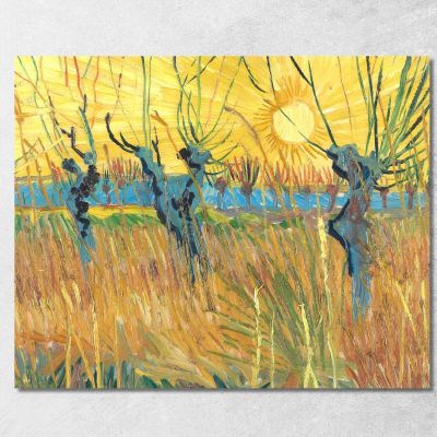 Pollard Willow Trees At Sunset Vincent van Gogh, vvg152 canvas print