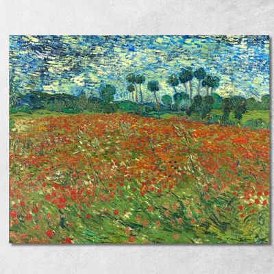 Campo Di Papaveri Vincent van Gogh vvg153 quadro stampa su tela