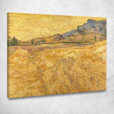 Campo Di Grano Con Mietitrice E Sole Vincent van Gogh vvg183 quadro stampa su tela