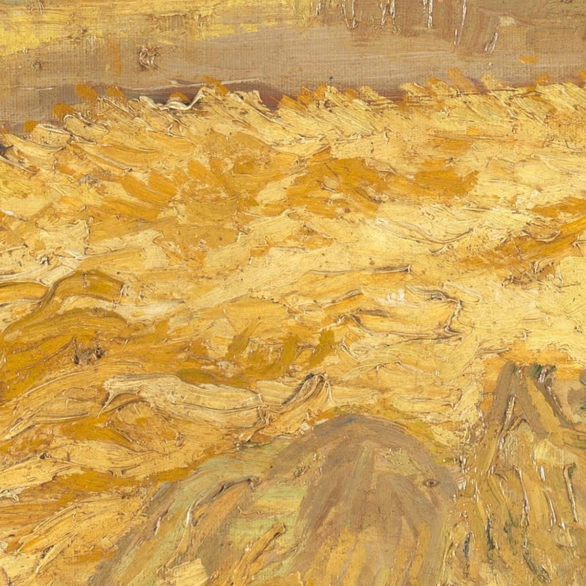 Campo Di Grano Con Mietitrice E Sole Vincent van Gogh vvg183 quadro stampa su tela