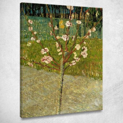 Mandorlo In Fiore Vincent van Gogh vvg190 quadro stampa su tela