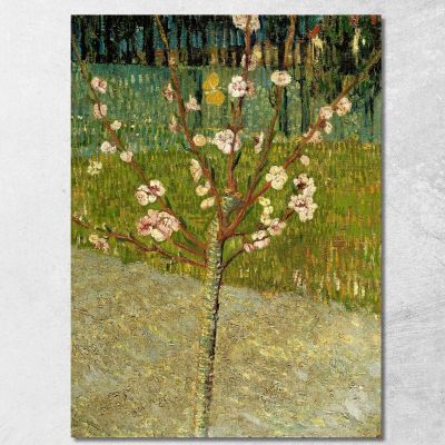 Mandorlo In Fiore Vincent van Gogh vvg190 quadro stampa su tela