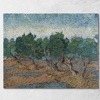 Uliveto Vincent van Gogh vvg246 quadro stampa su tela