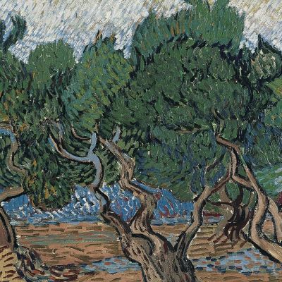 Uliveto Vincent van Gogh vvg246 quadro stampa su tela