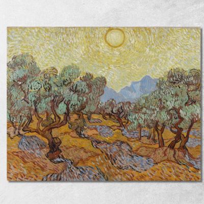 Olive Trees Vincent van Gogh, vvg247 canvas print