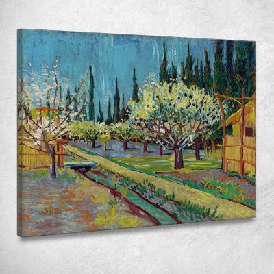 Frutteto Delimitato Da Cipressi Vincent van Gogh vvg250 quadro stampa su tela