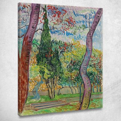 Parco Dell'Ospedale Saint-Paul Vincent van Gogh vvg252 quadro stampa su tela