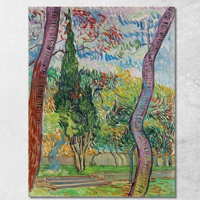 Parco Dell'Ospedale Saint-Paul Vincent van Gogh vvg252 quadro stampa su tela