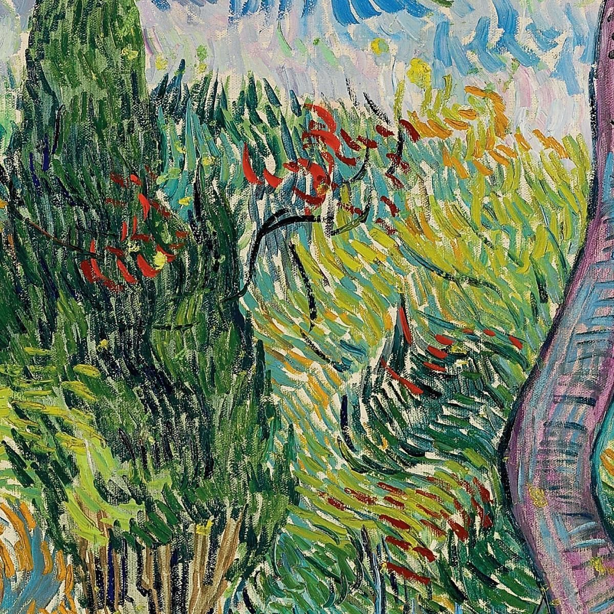 Parco Dell'Ospedale Saint-Paul Vincent van Gogh vvg252 quadro stampa su tela