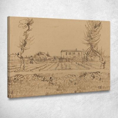 Contadino Nei Campi Vicino Ad Arles Vincent van Gogh vvg258 quadro stampa su tela