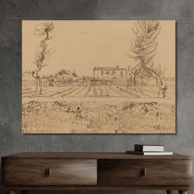 Contadino Nei Campi Vicino Ad Arles Vincent van Gogh vvg258 quadro stampa su tela