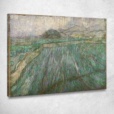 Piovere Vincent van Gogh vvg267 quadro stampa su tela