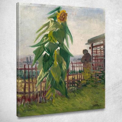 Allotment With Sunflower Vincent van Gogh, vvg314 ภาพพิมพ์บนผ้าใบแคนวาส