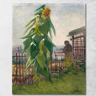 Allotment With Sunflower Vincent van Gogh, vvg314 ภาพพิมพ์บนผ้าใบแคนวาส