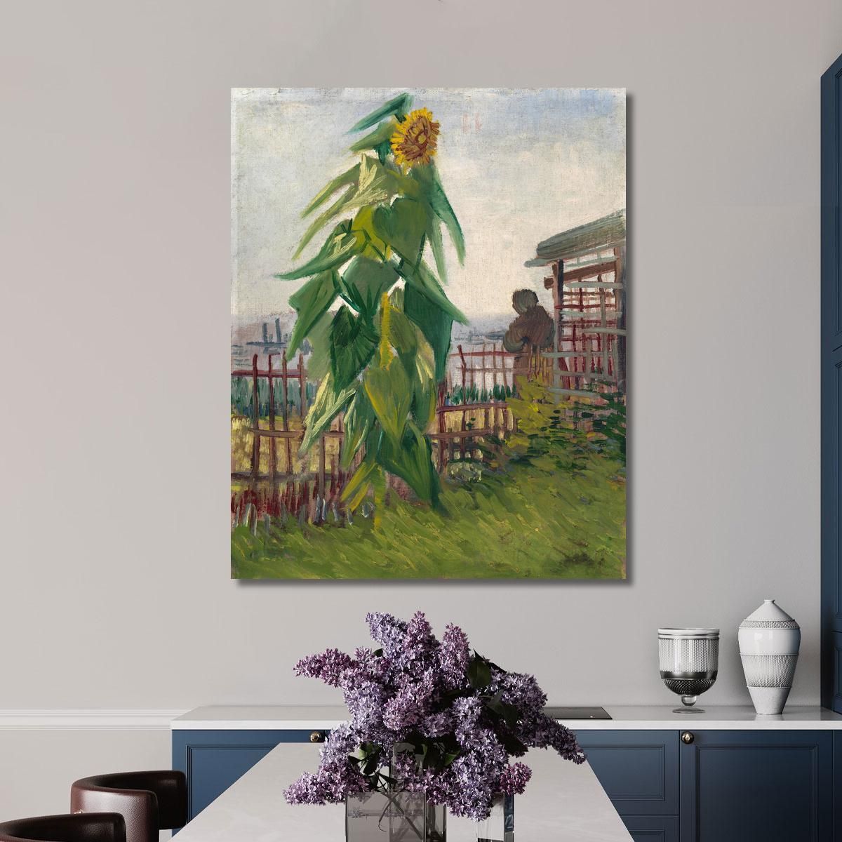 Allotment With Sunflower Vincent van Gogh, vvg314 canvas print