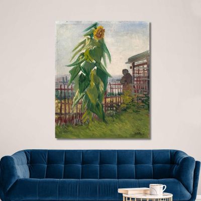 Allotment With Sunflower Vincent van Gogh, vvg314 canvas print