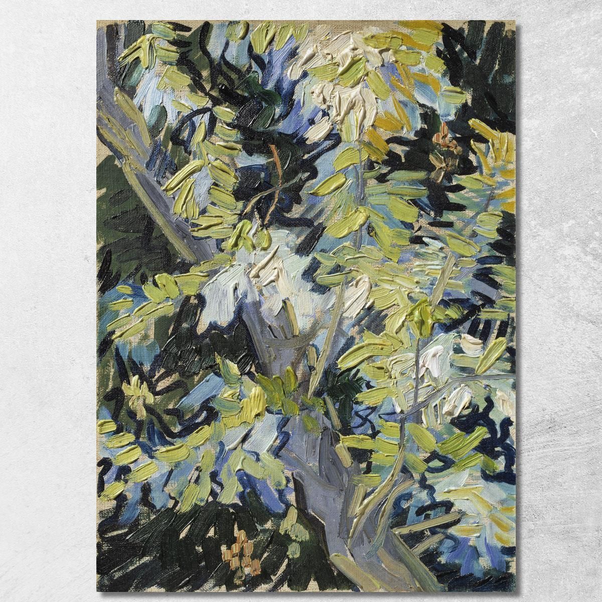 Rami Di Acacia In Fiore Vincent van Gogh vvg317 quadro stampa su tela