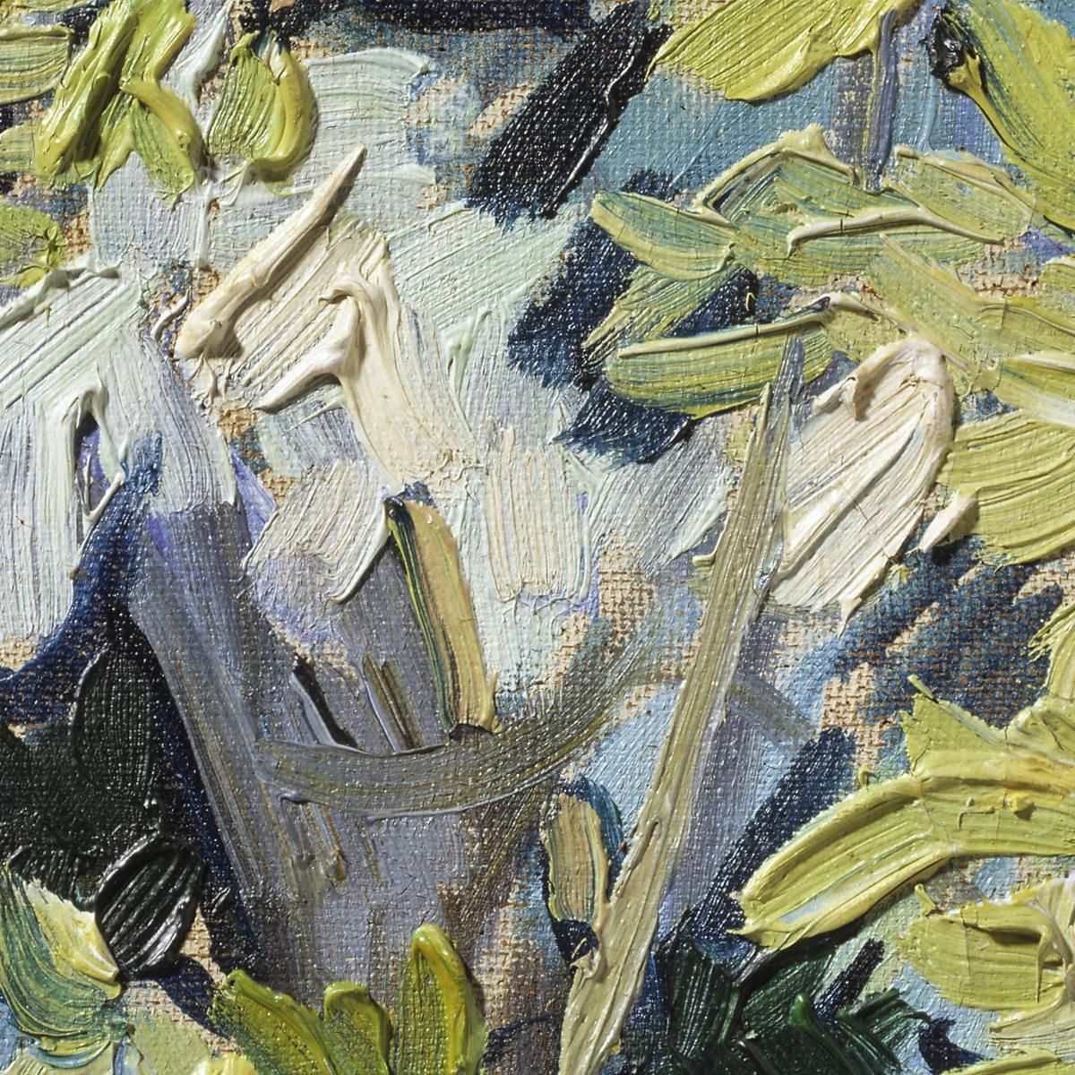 Rami Di Acacia In Fiore Vincent van Gogh vvg317 quadro stampa su tela