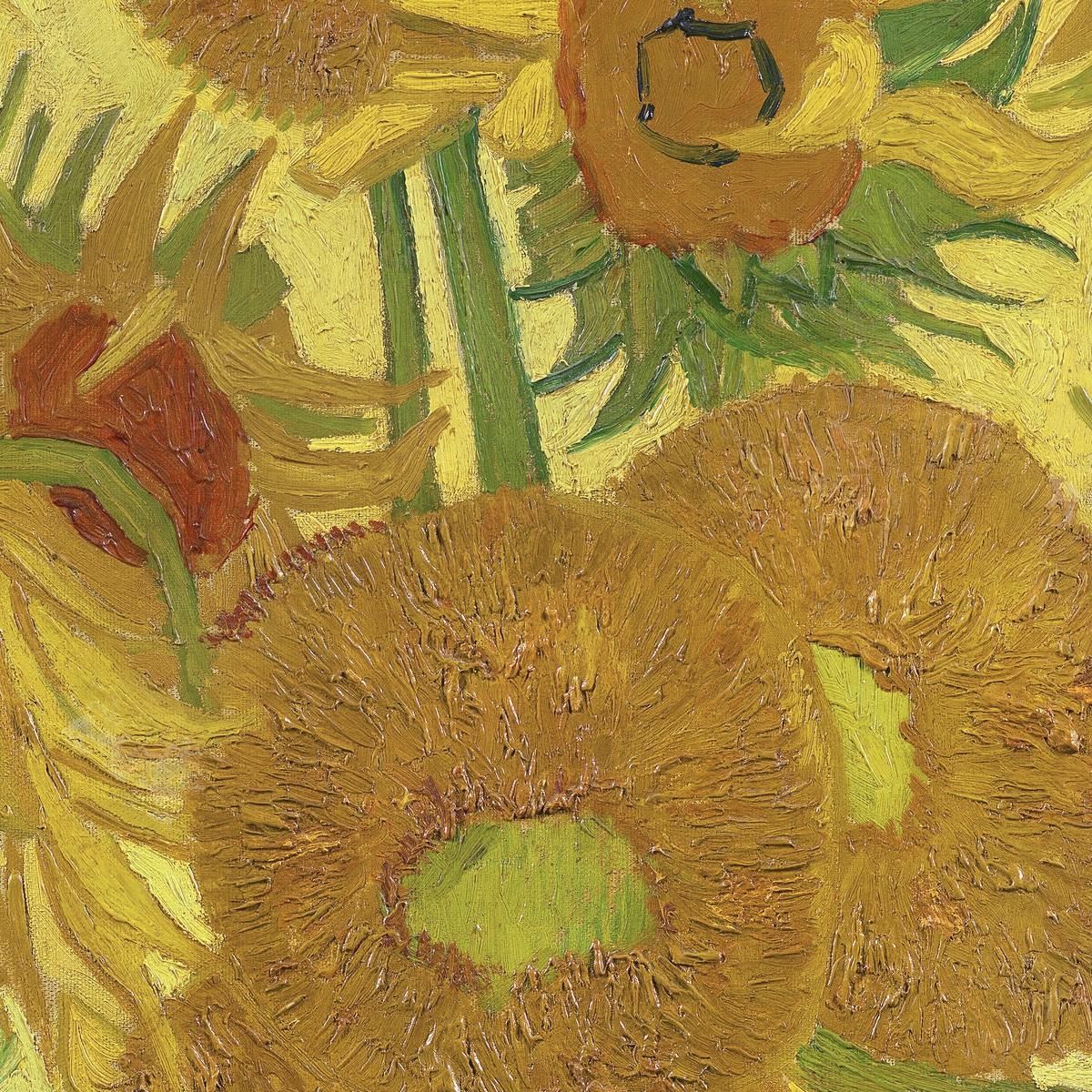 Girasoli Vincent van Gogh vvg328 quadro stampa su tela