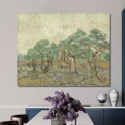 The Olive Orchard 1889 Vincent van Gogh, vvg329 canvas print