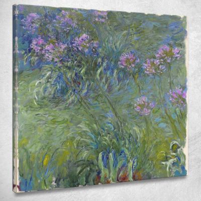 Fiori Di Agapanto Claude Monet mnt2 canvas print 